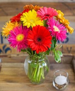 Gerbera Daisy Flowers Paint by numbers