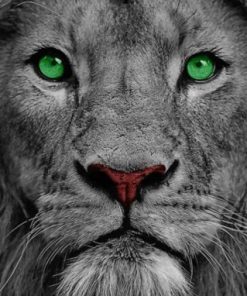 Lion With Green Eyes Paint by numbers
