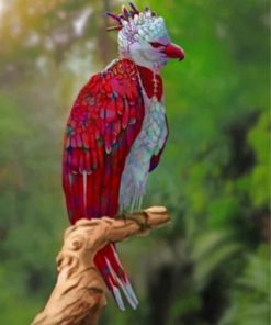 Harpy Eagle Paint by numbers