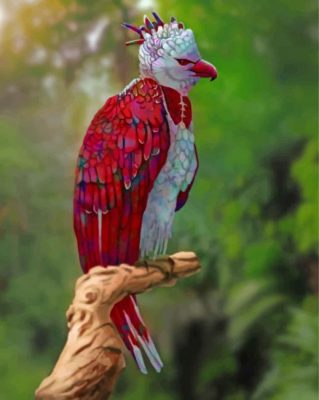Harpy Eagle Paint by numbers