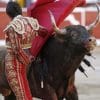 Latino Bullfighter Paint by numbers