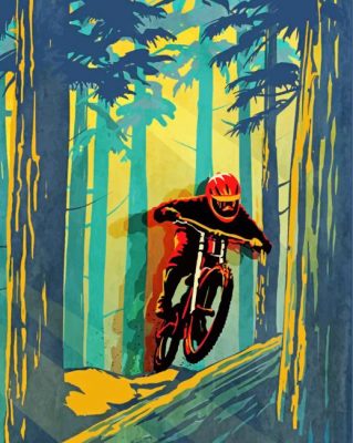 Mountain Biker Illustration Paint by numbers