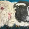Aesthetic Guinea Pigs Paint by numbers