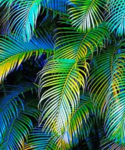 Palm Leaves Paint by numbers