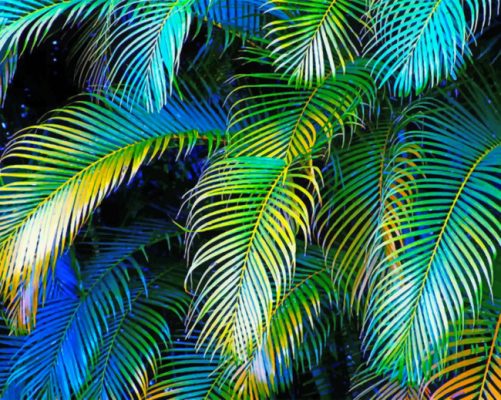Palm Leaves Paint by numbers