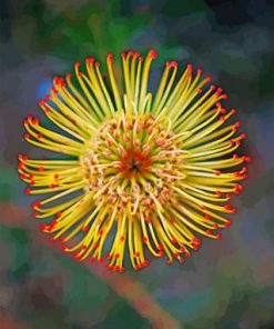 Yellow Protea Paint by numbers