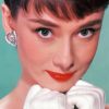 The Beautiful Audrey Hepburn Paint by numbers