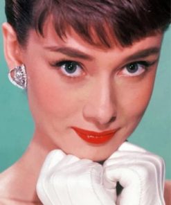 The Beautiful Audrey Hepburn Paint by numbers