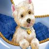 Westie Dog Paint by numbers