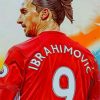 Zlatan Ibrahimovic Paint by numbers