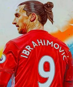 Zlatan Ibrahimovic Paint by numbers