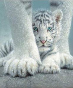 Cute Baby White Tiger paint by numbers