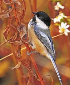 Early Bird Chickadee paint by numbers