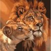Lion And Lioness Paint by numbers