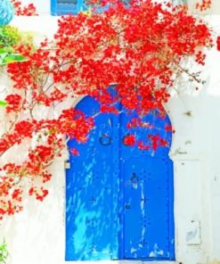 Red Flowers And Door Paint by numbers