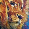 Abstract Lion Paint by numbers