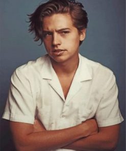 Handsome Cole Sprouse Paint by numbers