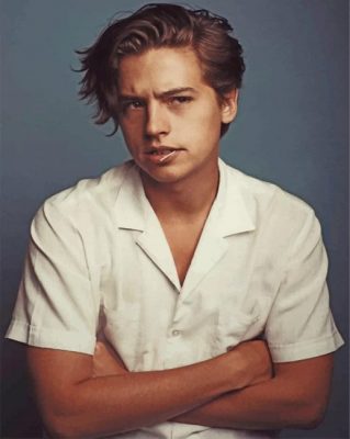 Handsome Cole Sprouse Paint by numbers