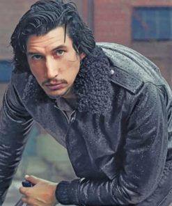 Adam Driver Paint by numbers