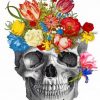 Aesthetic Floral Skull paint by numbers