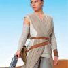 Aesthetic Star Wars Rey Paint by numbers