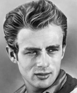 Black And White James Dean paint by numbers