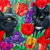 Black cats paint by numbers