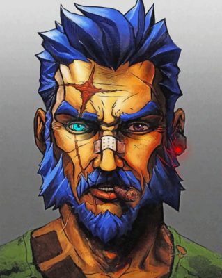 Borderlands Character Paint by numbers