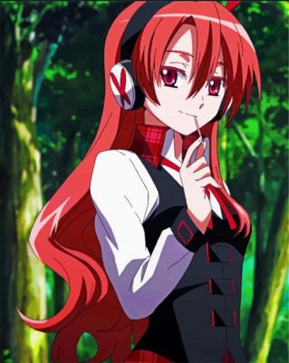 Chelsea From Akame Ga Kill Paint by numbers