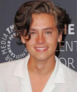 Cole Sprouse Paint by numbers