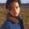 Cole Sprouse Photo Shoot Paint by numbers