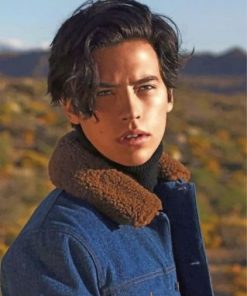 Cole Sprouse Photo Shoot Paint by numbers