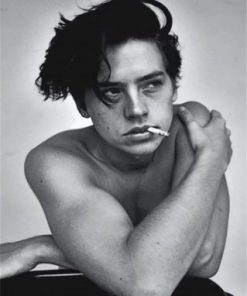 Cole Sprouse Smoking paint by numbers