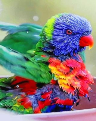 Colorful Bird Paint by numbers