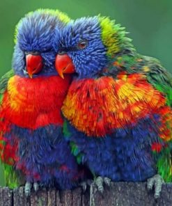 Colorful Birds Paint by numbers