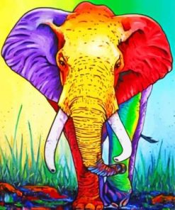 Colorful elephant paint by numbers