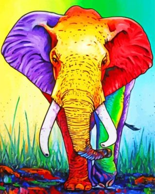 Colorful elephant paint by numbers