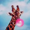 Giraffe And Bubblegum paint by numbers