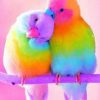 Colorful Love Bird Paint by numbers