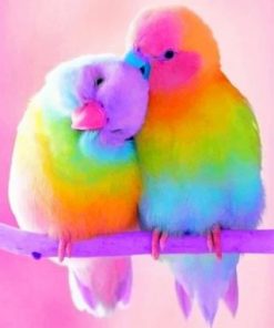 Colorful Love Bird Paint by numbers