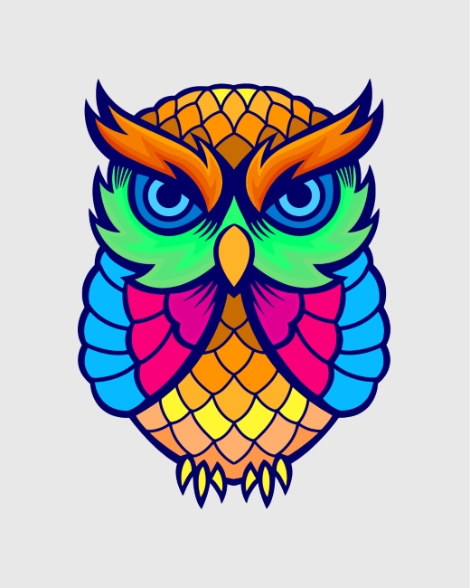 colorful-owl-paint-by-numbers