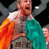 Conor Mcgregor Paint by numbers