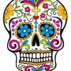 Cool Candy Skull Paint by numbers