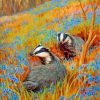 Cute Badgers Paint by numbers