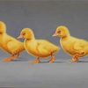 Ducks In A Row Paint by numbers
