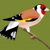 European Goldfinch Paint by numbers