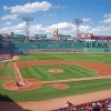 Fenway Park paint by numbers
