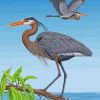 Great Blue Heron Birds Paint by numbers