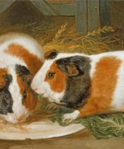 Guinea Pigs Paint by numbers