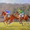 Horse Race Paint by numbers